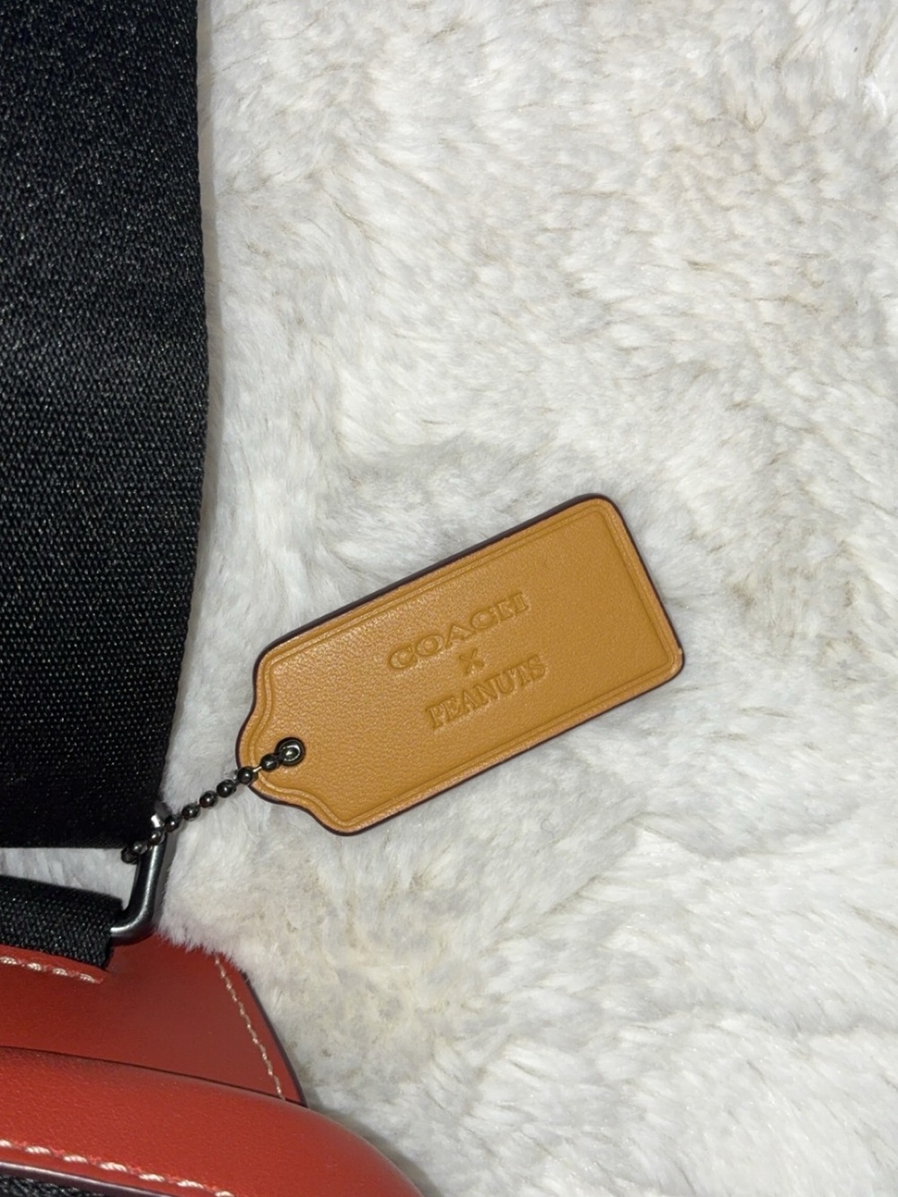 Coach x Peanuts - Picture 2 of 5